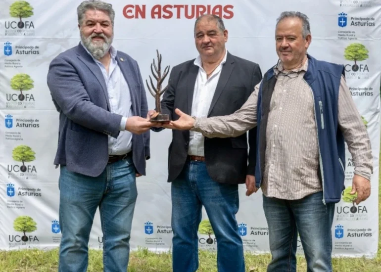 CASTAÑO DE ORO 2025