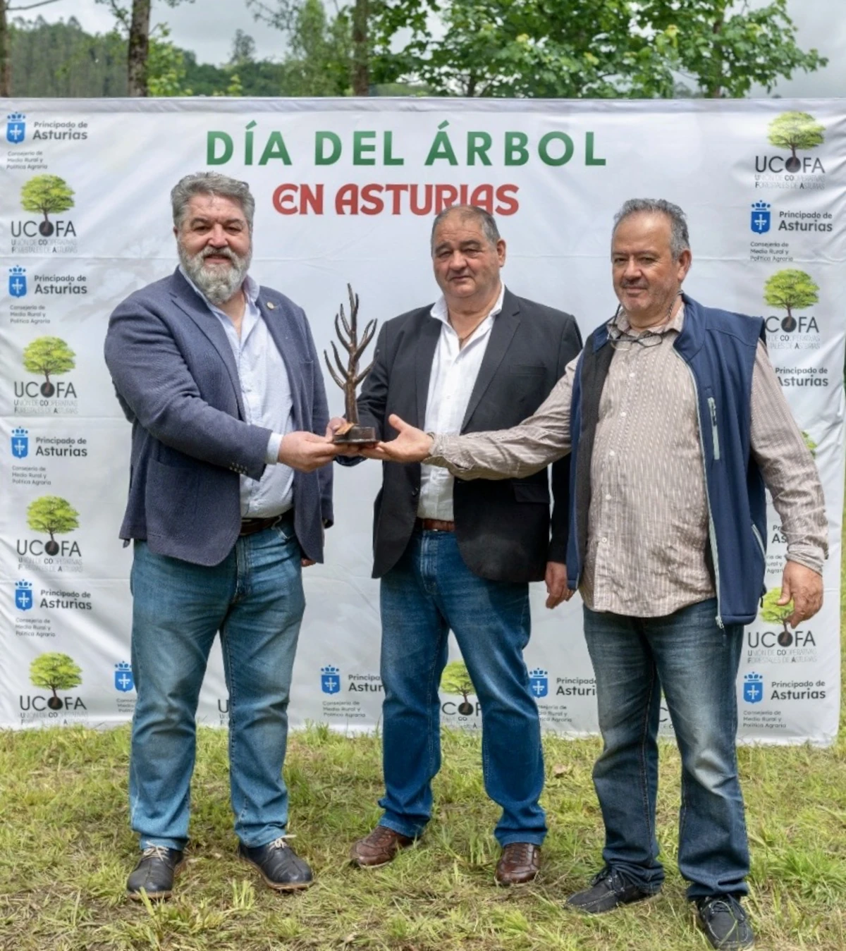 CASTAÑO DE ORO 2025